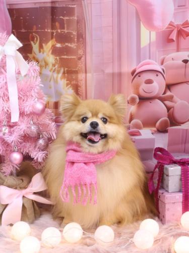 20241208梛都ちゃん